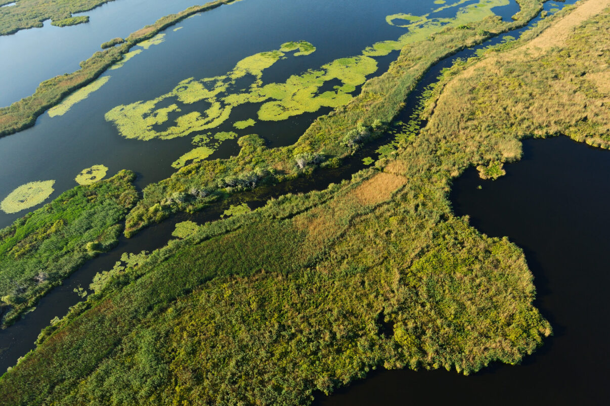 Aerials over the Danube delta, Danube delta rewilding area, Romania
