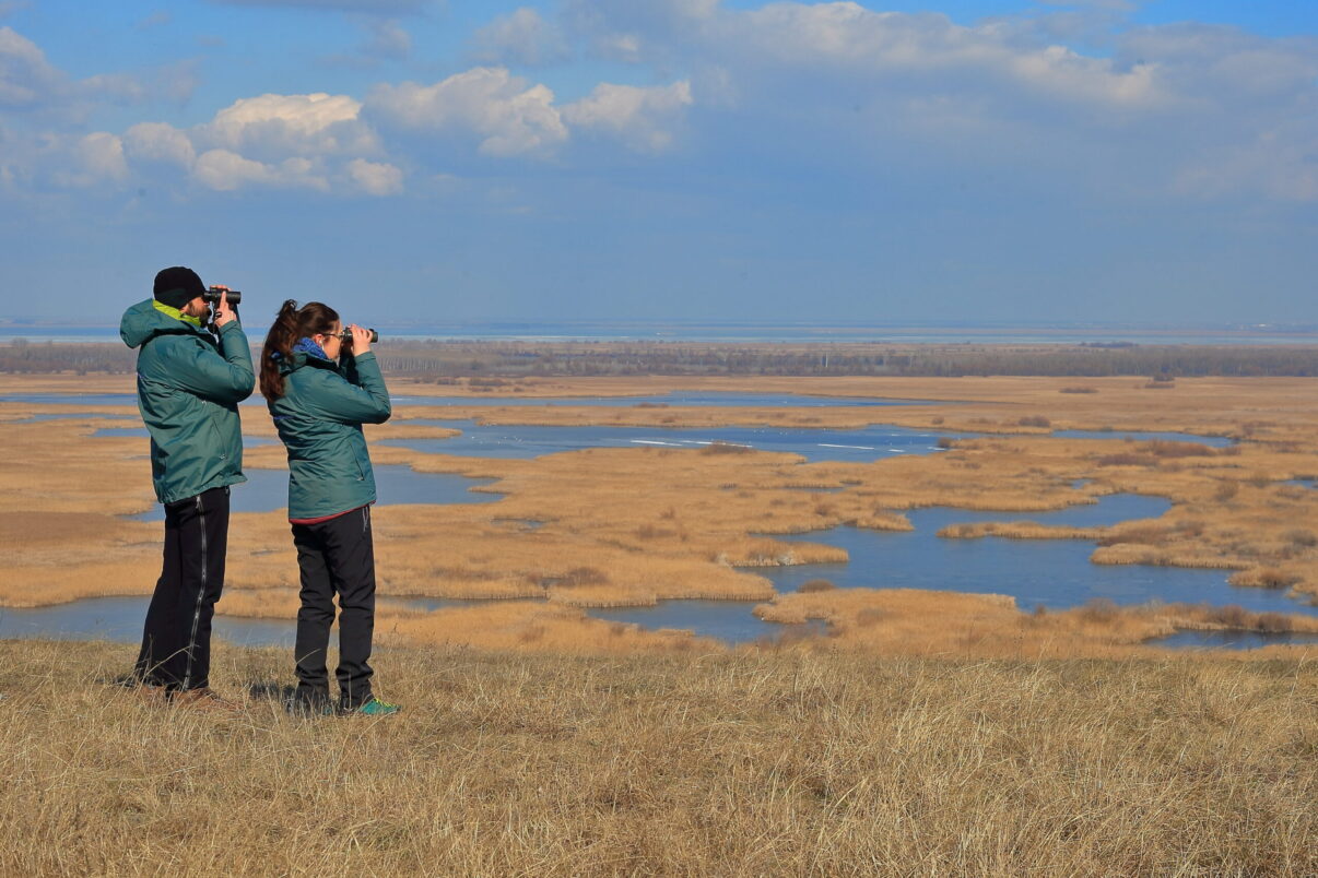 Photo: Alexandru Ifrim - Rewilding Officer Rewilding Romania