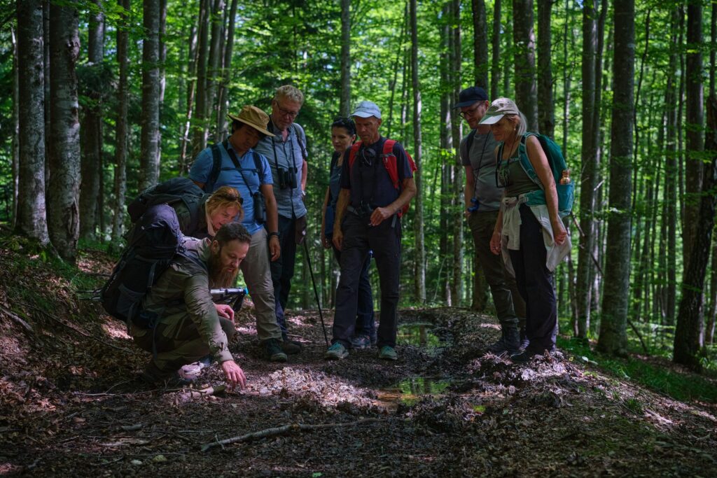 Catalin showing footprints wildlife to visitors